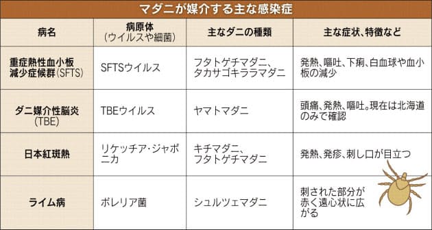 野山での虫さされ 肌を見せない 袖や裾は中に Nikkei Style 野山での虫さされ 肌を見せない 袖や裾は中に Nikkei Style