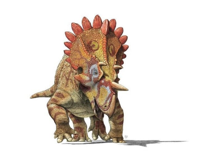 新種の恐竜レガリケラトプス発見 飾りはレトロ Nikkei Style