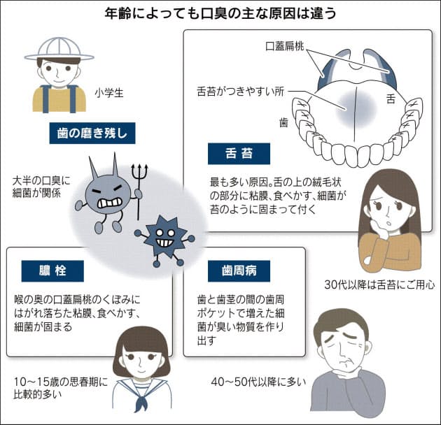 誰もが持つ 口臭の不安 原因と解消法 Nikkei Style