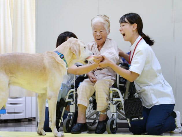 犬とふれあい リハビリ促進 ストレス和らげ前向きに くらし ハウス Nikkei Style
