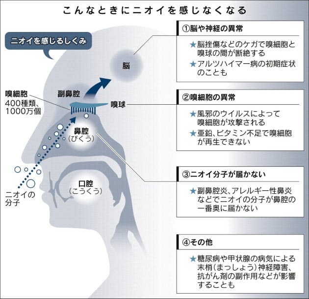 鼻 の 奥 が ツーン と する