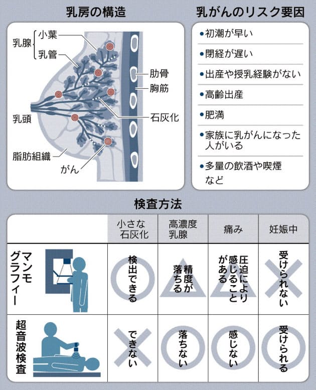 乳腺 超 音波 検査