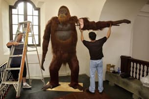 ブツブツ見ると気持ち悪い トライポフォビアに新説 Nikkei Style ブツブツ見ると気持ち悪い トライポフォビアに新説 Nikkei Style
