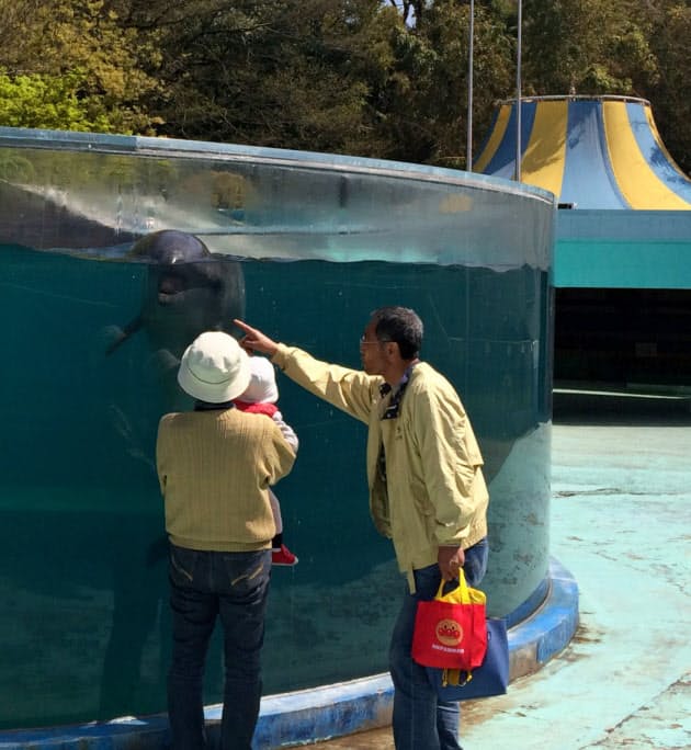 香川の景勝地 屋島 挑む観光再生 水族館を改修存続 Nikkei Style 香川の景勝地 屋島 挑む観光再生 水族館を改修存続 Nikkei Style