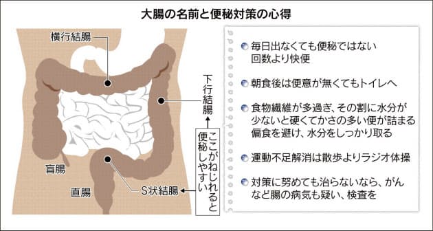 便秘 タイプ別の解消法 腸のねじれの可能性も ヘルスｕｐ Nikkei Style