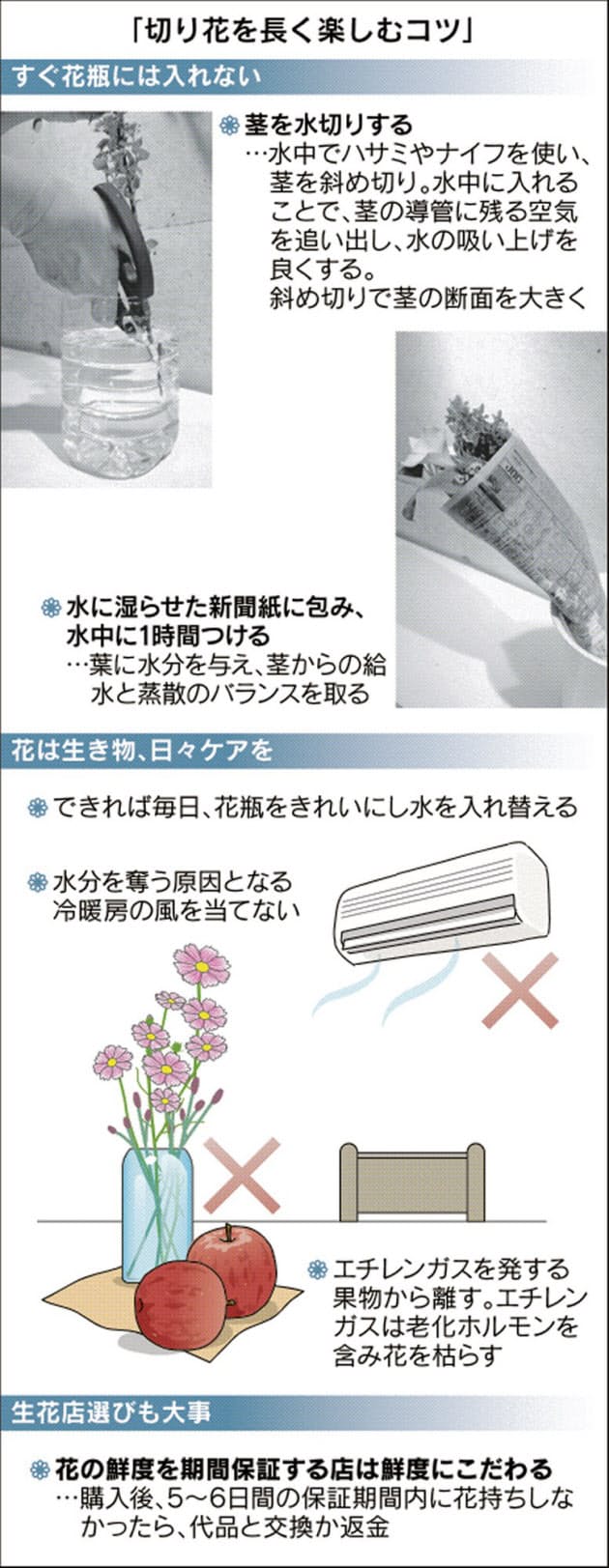 切り花は生き物 毎日ケアで鮮度を伸ばす Nikkei Style