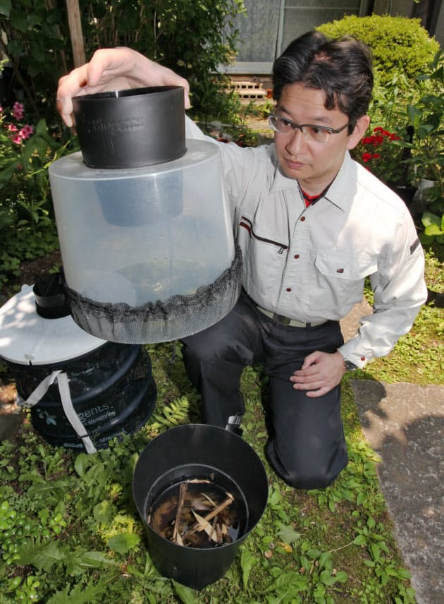 蚊退治 まずは庭先から Nikkei Style