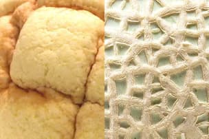 神戸生まれメロンパン 白あん入りでラグビーボール型 Nikkei Style 神戸生まれメロンパン 白あん入りでラグビーボール型 Nikkei Style