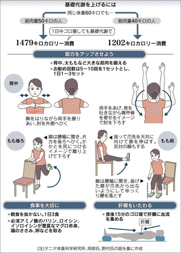 基礎代謝 で肥満を予防 筋力 肝機能を上げよう Nikkei Style