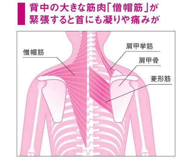 首の痛みを誘発 危険なスマホの あご突き出し Woman Smart Nikkei Style