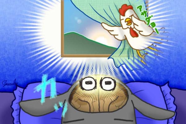 明るい寝室は不眠のもと 暗い朝は寝坊のもと 日経bizgate