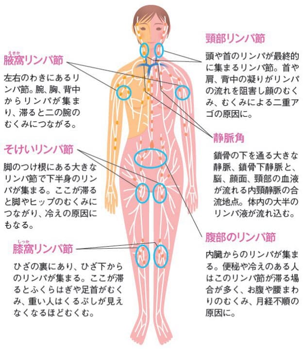 むくみ たるみを即解消 リンパ流しマッサージ Nikkei Style