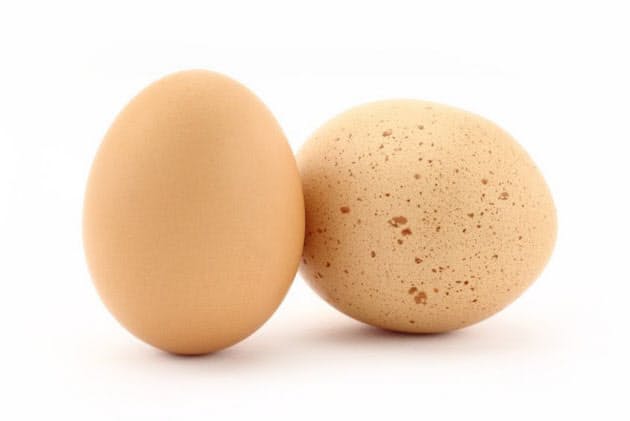 卵1日1個はウソ コレステロールの真実 ヘルスｕｐ Nikkei Style