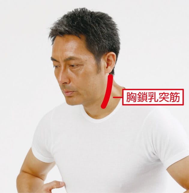 現代型の肩こりは深部にあり 筋膜マッサージで解消 Nikkei Style