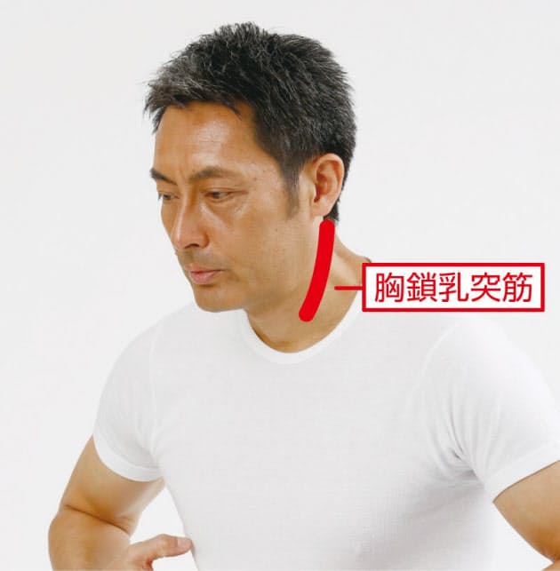 現代型の肩こりは深部にあり 筋膜マッサージで解消 Nikkei Style 現代型の肩こりは深部にあり 筋膜マッサージで解消 Nikkei Style