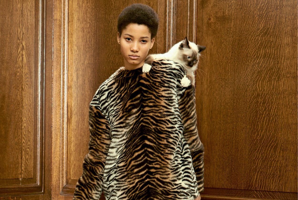 アニマルフリー 動物素材に背を向けたカッコよさ Nikkei Style アニマルフリー 動物素材に背を向けたカッコよさ Nikkei Style