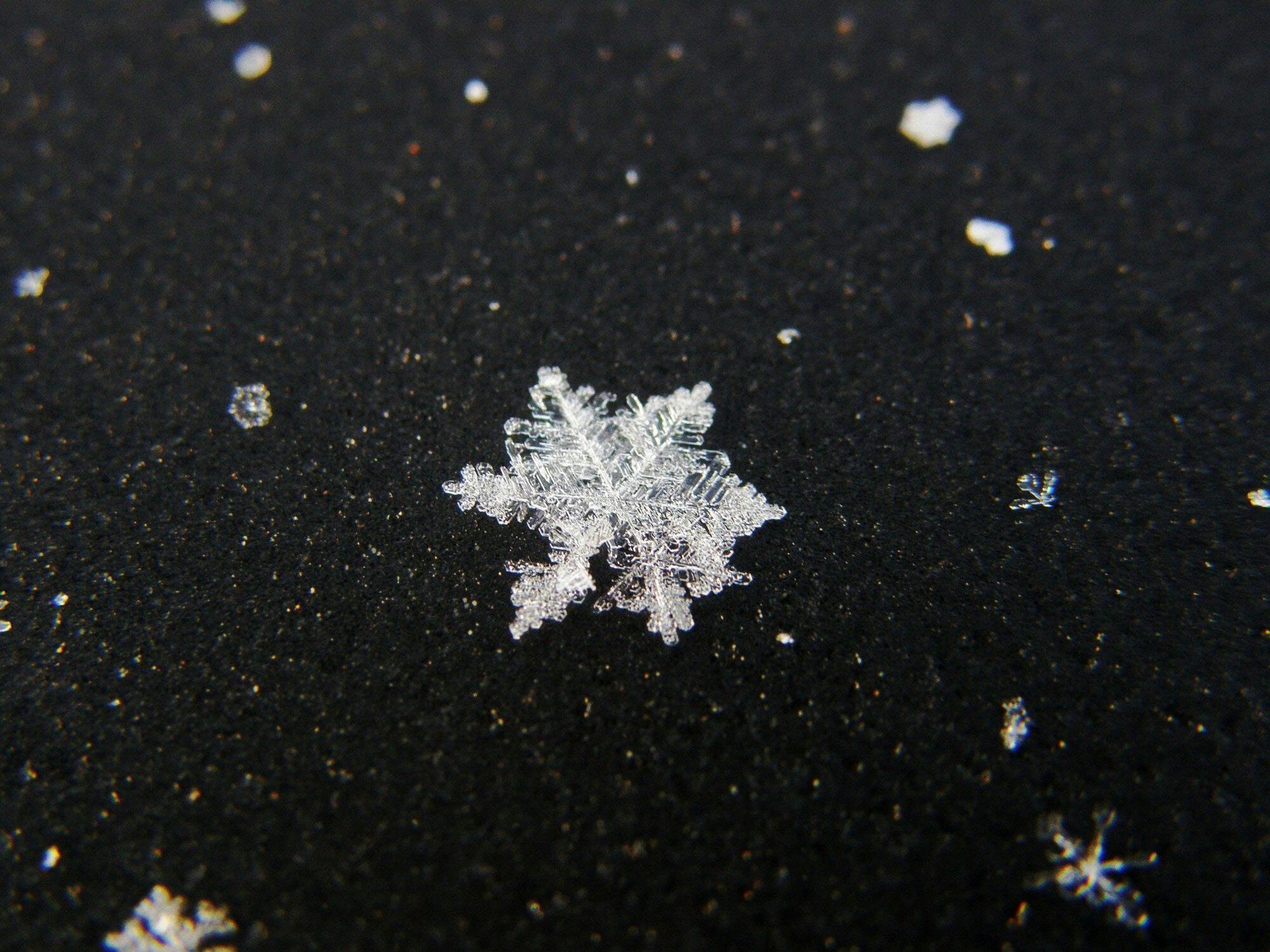 きれいな雪の結晶 どうやって形が決まるの ライフコラム Nikkei Style