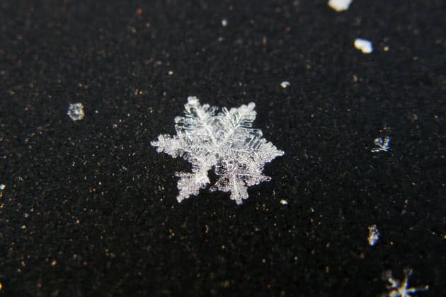 きれいな雪の結晶 どうやって形が決まるの Nikkei Style