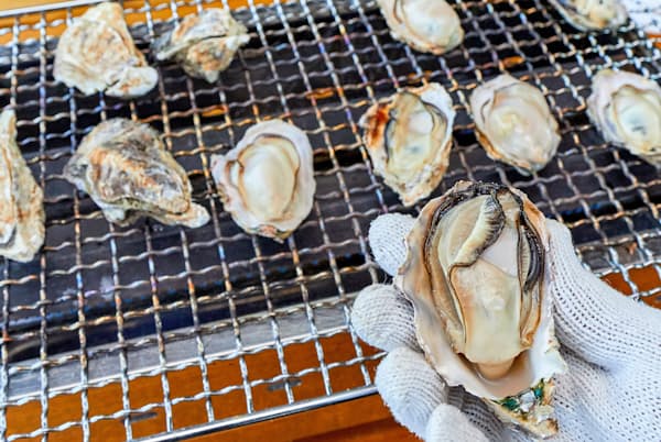 クセのない濃厚なうまみが特徴の「豊前海一粒かき」(はちがめ) クセのない濃厚なうまみが特徴の「豊前海一粒かき」(はちがめ)