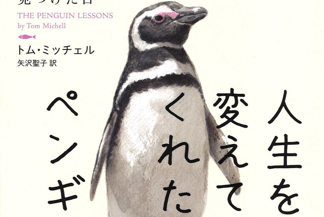 人生を変えてくれたペンギン トム ミッチェル著 目頭が熱くなるふれあい Nikkei Style