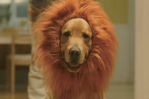 おばあちゃん に会いたくなる アマゾンcmが3位 Nikkei Style