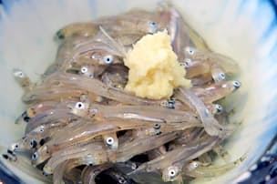 桜えび Gwが旬ど真ん中 漬け丼に 希少な生食も Nikkei Style 桜えび Gwが旬ど真ん中 漬け丼に 希少な生食も Nikkei Style