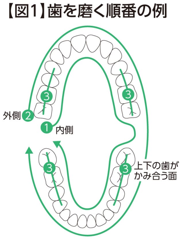 歯磨き後のうがいは少なめに 歯ケア 6つの新常識 Nikkei Style