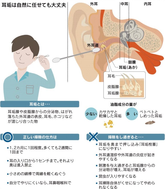 耳掃除 やり過ぎは逆効果 1 2カ月に1回スッキリ ヘルスｕｐ Nikkei