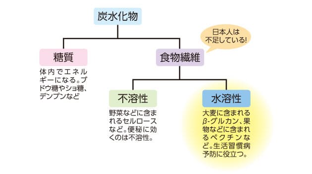 日本人は食物繊維が不足している 食物繊維は生活習慣病の予防に役立つ ウソ ホン Nikkei Style 日本人は食物繊維が不足している 食物繊維は生活習慣病の予防に役立つ ウソ ホン Nikkei Style