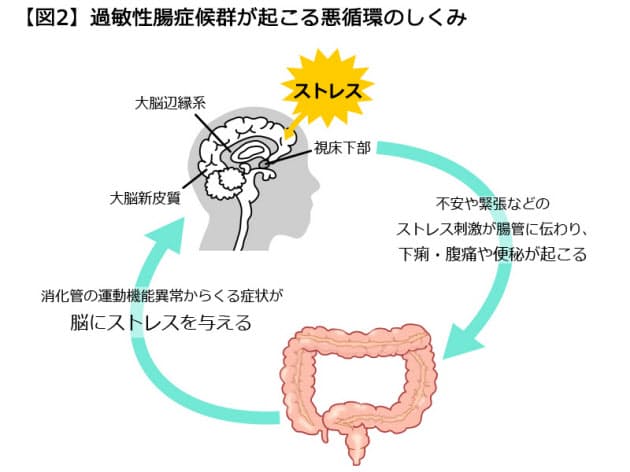 腹痛 下痢 吐き気 冷や汗 痺れ