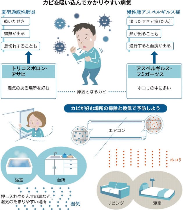 夏のせき カビが原因かも エアコン 水回り清潔に Nikkei Style