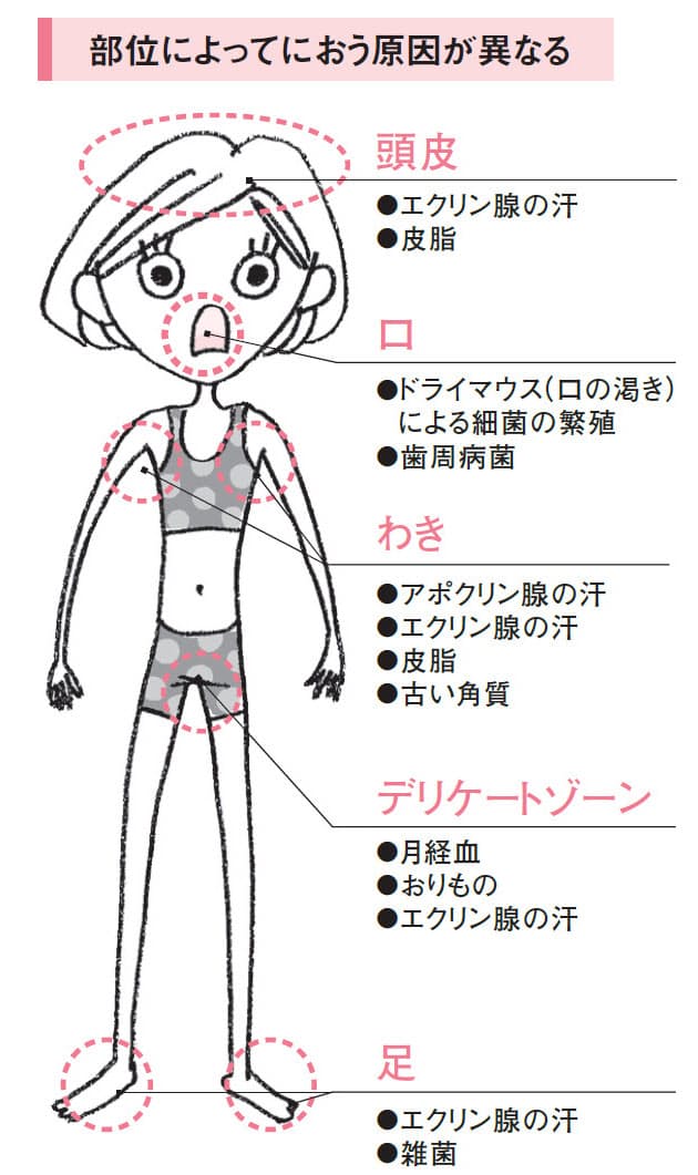 汗 アンモニア 臭 腎臓