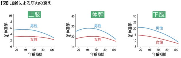 20歳を過ぎてから、最初に衰え始める筋肉はどこ？｜健康・医療｜NIKKEI ...