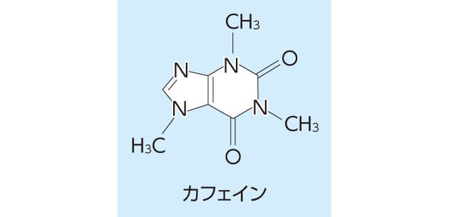 イン 代謝 カフェ