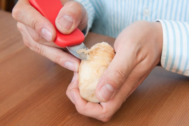 ショウガおろし器10選 食感で選ぶ日本式か西洋式か Nikkei Style ショウガおろし器10選 食感で選ぶ日本式か西洋式か Nikkei Style