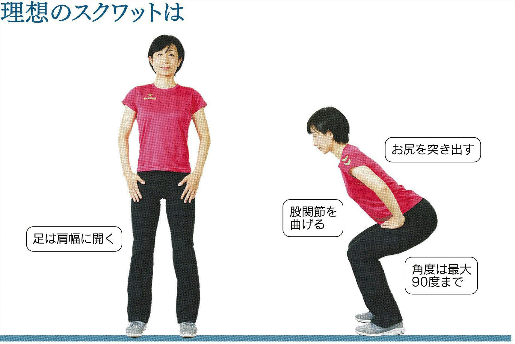 理想のスクワット 膝曲げだけはng 股関節 意識 Nikkei Style 理想のスクワット 膝曲げだけはng 股関節 意識 Nikkei Style