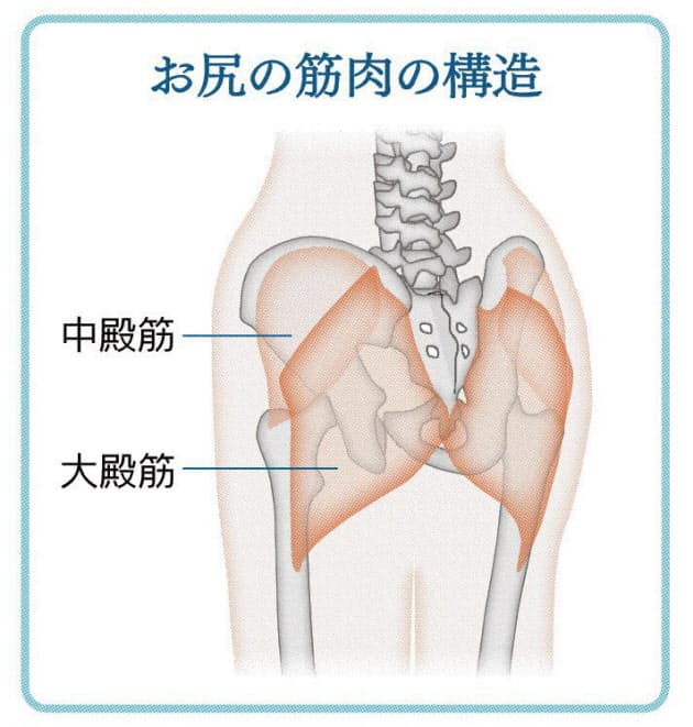 動作の要 お尻 を筋トレ 歩き姿美しく 腰痛も防ぐ Nikkei Style