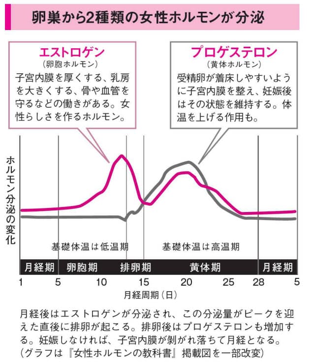 更年期かpmsか アラフォー女性襲う体調不調の原因 Nikkei Style