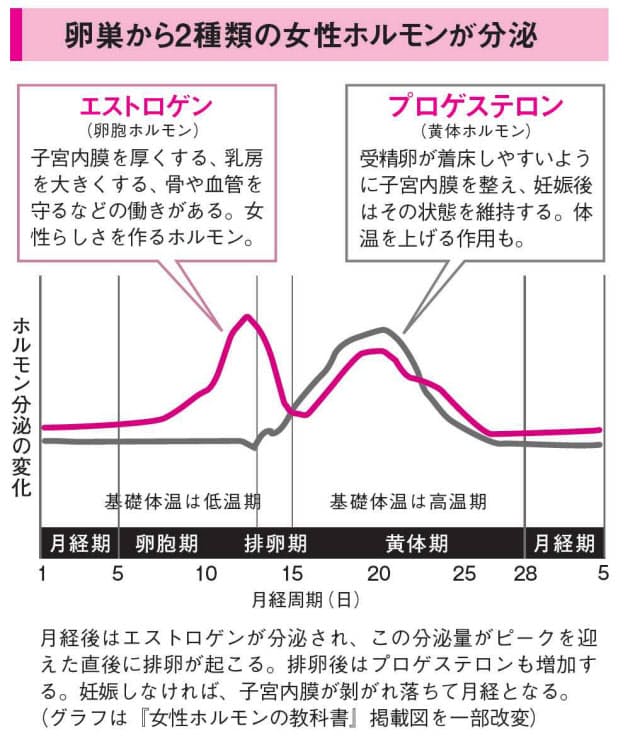 排卵日 めまい