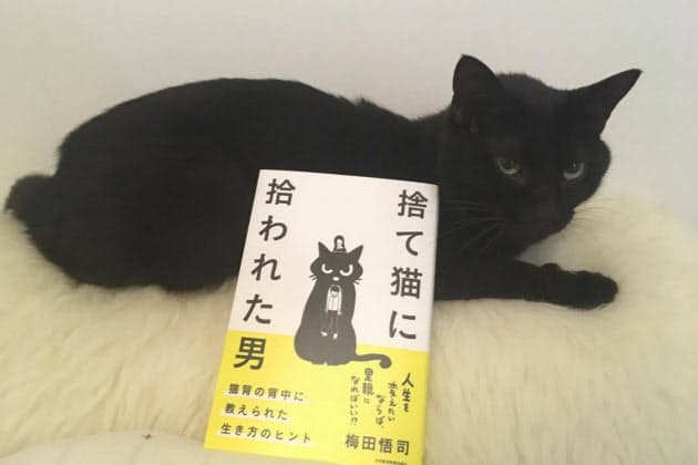 猫と暮らして発見 思った通りに生きる 心構え Nikkei Style 猫と暮らして発見 思った通りに生きる 心構え Nikkei Style