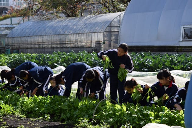 中学3年間で英文100万語を読む 偏差値38から 新女子御三家 に 鴎友学園が大躍 Nikkei Style 中学3年間で英文100万語を読む 偏差値38から 新女子御三家 に 鴎友学園が大躍 Nikkei Style