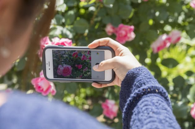 スマホ写真 レンズやセンサーよりソフトの開発競争に Nikkei Style スマホ写真 レンズやセンサーよりソフトの開発競争に Nikkei Style
