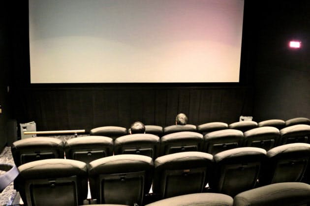 深夜映画館を独り占め 嬉し恥ずかし体験 エンタメ Nikkei Style