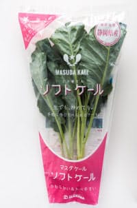 栄養豊富 葉野菜の女王 ケール のおいしい食べ方 Woman Smart Nikkei Style