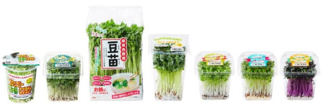 野菜が高い 安価で栄養豊富 スプラウト の食べ方 Woman Smart Nikkei Style