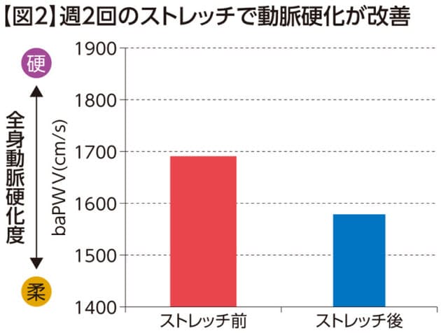 動脈硬化や冷え性も改善 ストレッチ の意外な効用 ヘルスup Nikkei Style