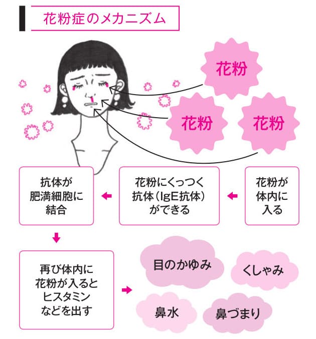 つらい花粉症 のみ薬より先手の点鼻 点眼薬が効果的 Nikkei Style