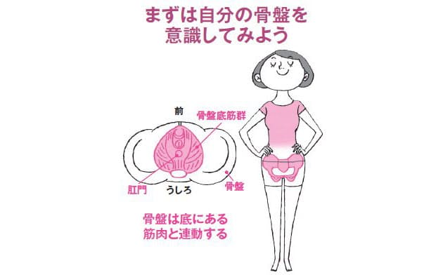 現代女性に必要な骨盤ケア 効果的にゆるめて不調解消 Nikkei Style