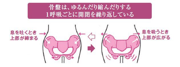 現代女性に必要な骨盤ケア 効果的にゆるめて不調解消 Nikkei Style 現代女性に必要な骨盤ケア 効果的にゆるめて不調解消 Nikkei Style