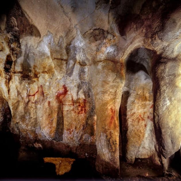 世界最古の洞窟壁画 現生人類より前と判明 その衝撃 Nikkei Style